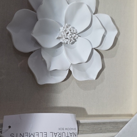 NATURAL ELEMENTS FLOWER ACCENT SHADOWBOX - Picture 5 of 9